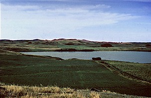 Figure 6. View over a lake, toward the Binford Hills in Griggs County. The lake is contained in the hole that formed when the Binford Hills were thrust by the glacier into their present location.