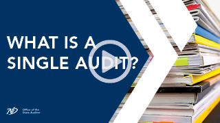 What is a single audit?