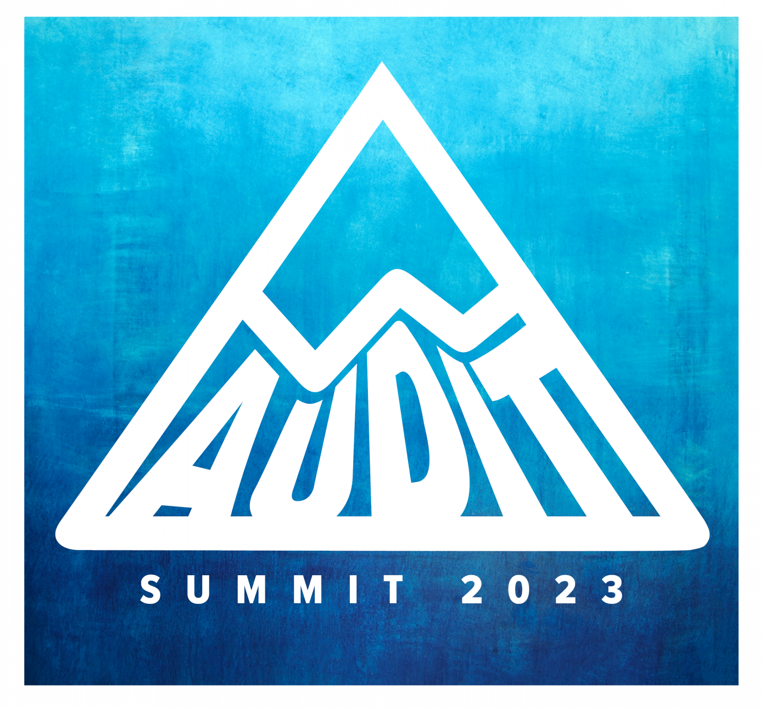 2023 Audit Summit
