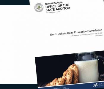 Local Gov Audit Reports