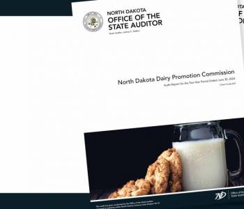 Search Audit Reports