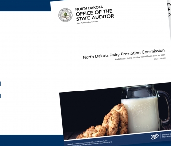 Local Government Audit Reports