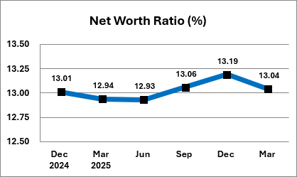 Average Net Worth Percentage Ratios