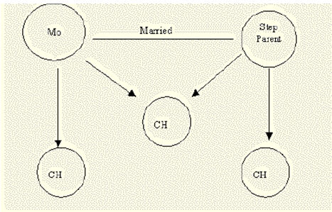 Graphic 1 - Example of TANF Household