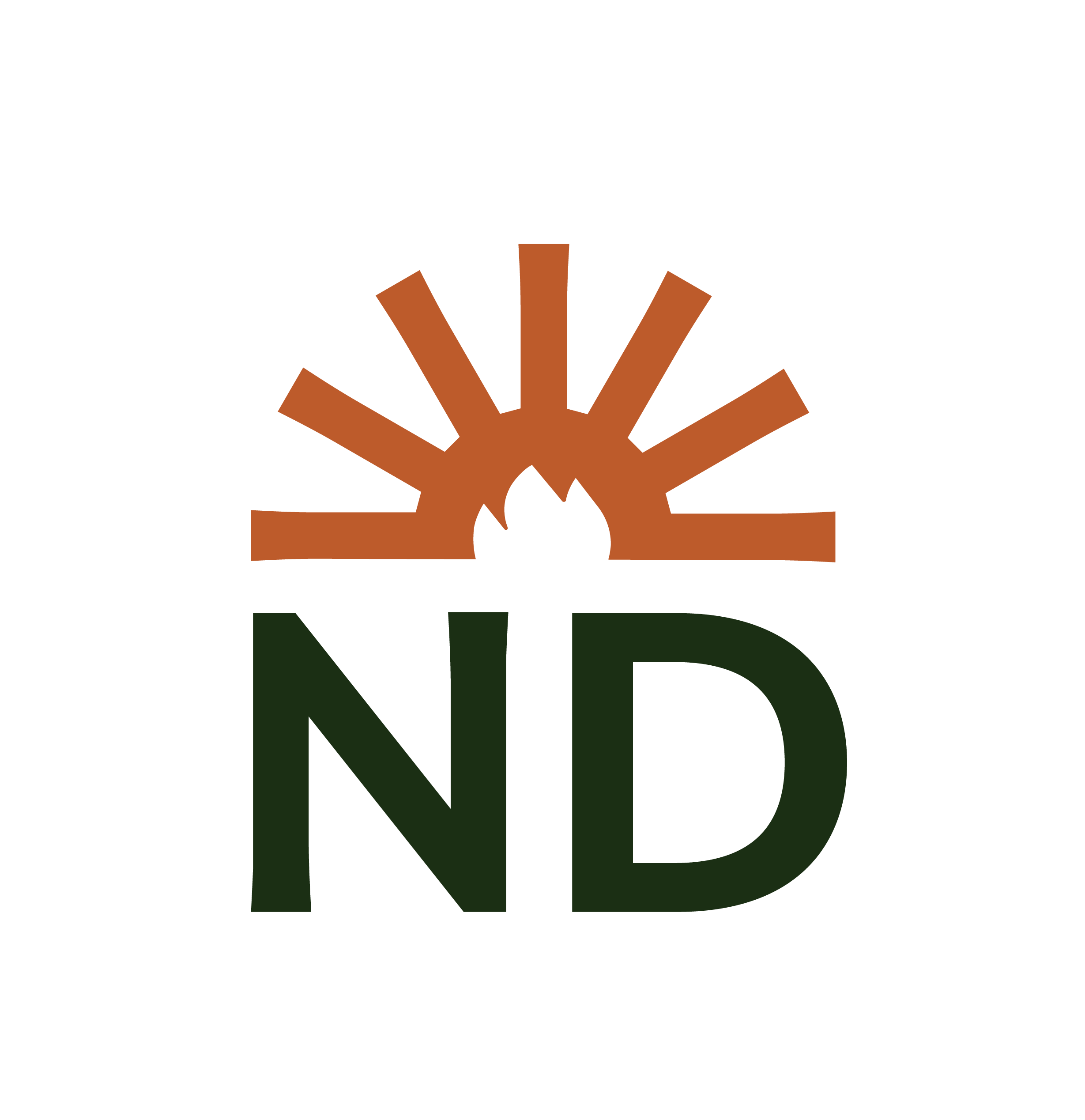 ND RISE logo