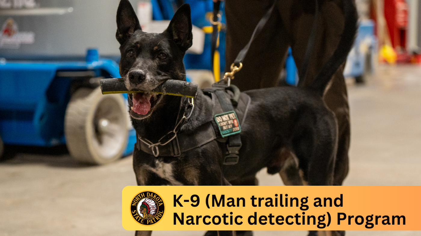 K9 Draco with a training toy