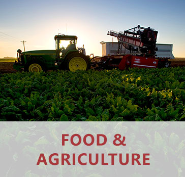Food and Agriculture