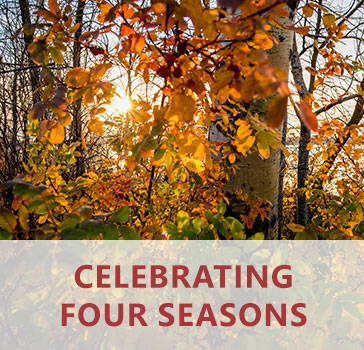 Celebrating Four Seasons