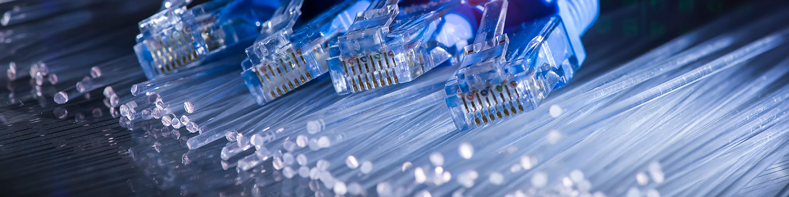 Ethernet and fiber optic data cables. 
