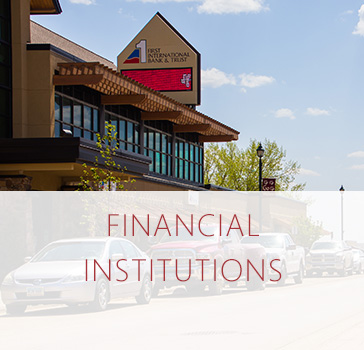 Financial Institutions